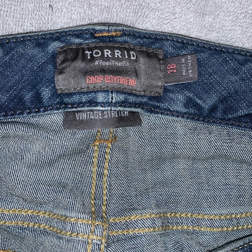 Distressed cropped pants